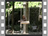 akichan-s681.jpg