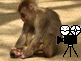michan-s681.jpg